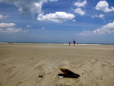 Cumberland Island