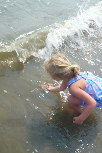 Sending the Sea Star Back to Sea
