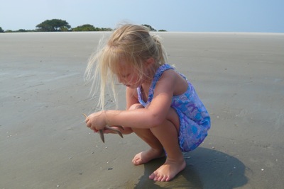 Discovering Sea Stars