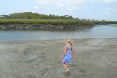 Tidal Creek