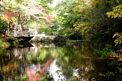 Autumn