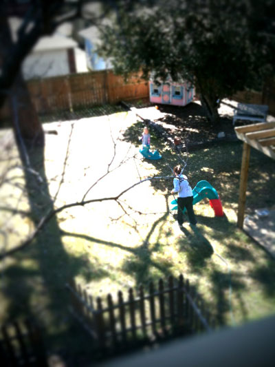 Backyard Cleanup