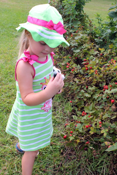 Picking Blackberries