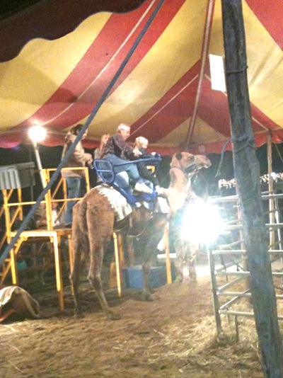 Camel Ride
