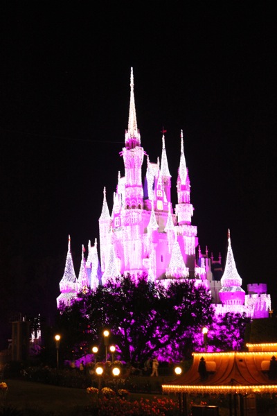 Castle in Lights