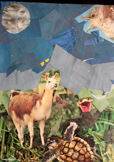 Collage