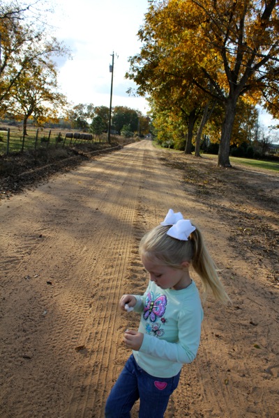 Country Road