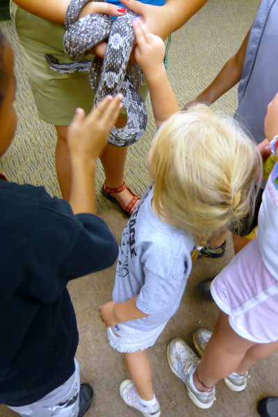 Petting Ellie the Snake