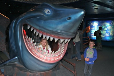 Shark!