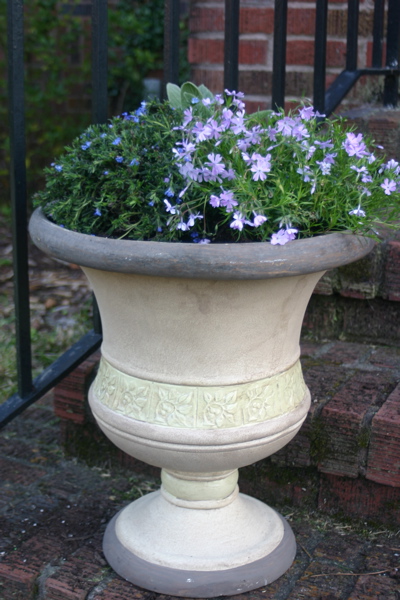 Flower pot