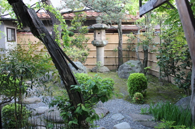 Our Garden View
