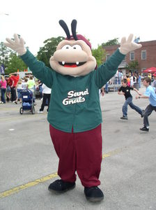 Gnate the Gnat