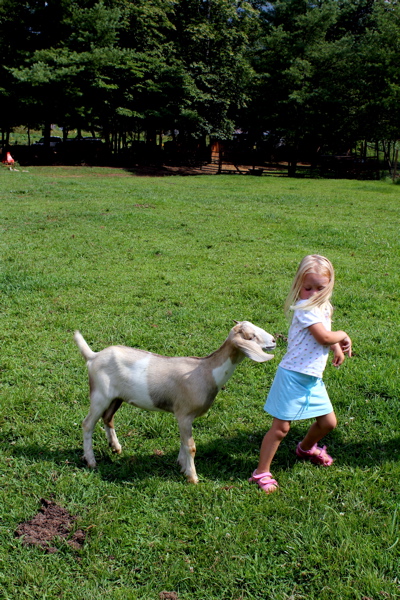 A Game of Goat Tag