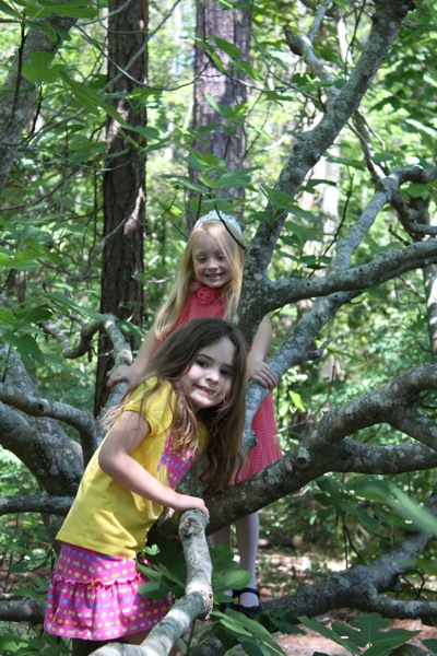 Tree Climbers