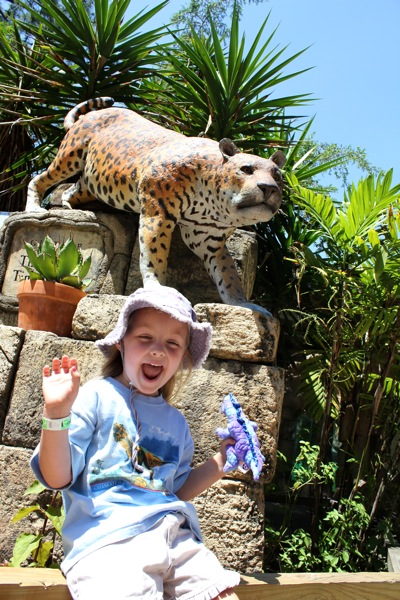 Jacksonville Zoo Jaguar