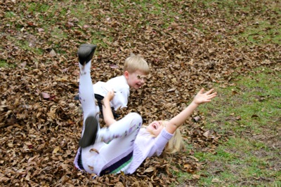 Leaf Pile!