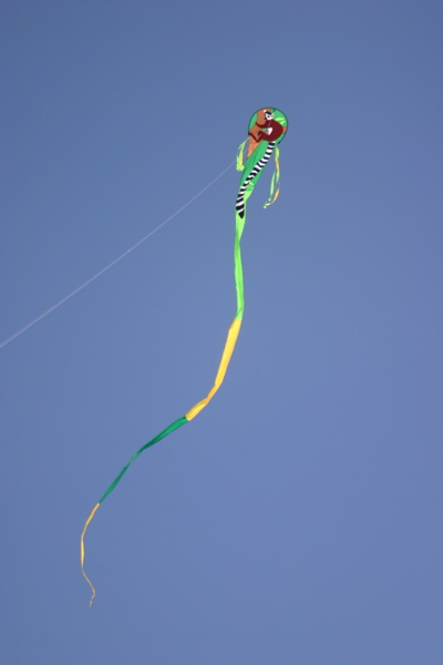 Our Kite