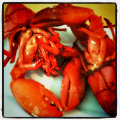 Lobsters
