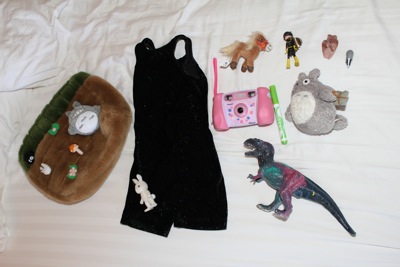Meet Me Bag