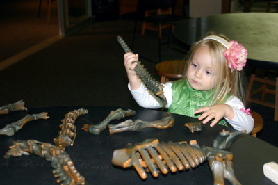 Paleontologist