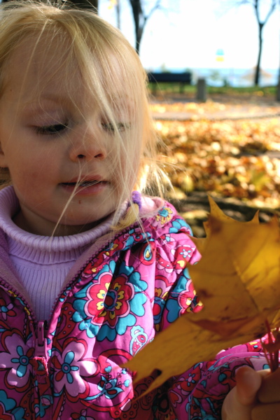 Found a Leaf