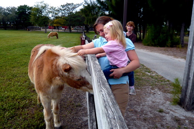 Hi pony!