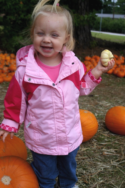 Pumpkin Patch