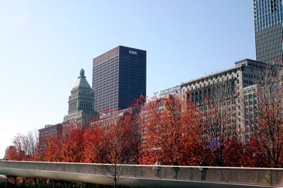 Red Leaves