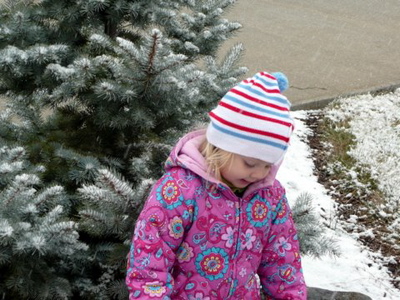 Snow Bunny