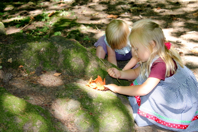 Building Houses for Fairies