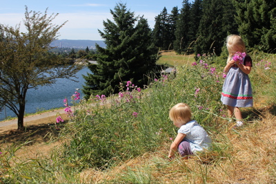 Wildflowers on Mt. Tabor