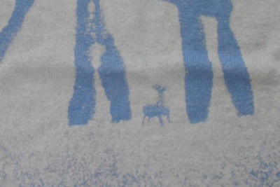 Tiny Dino Detail