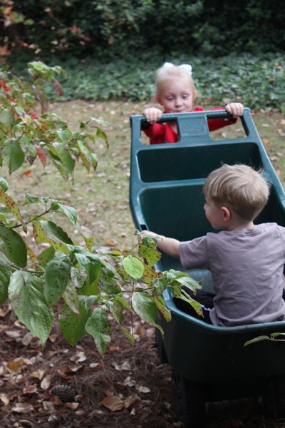 Wheelbarrow Ride